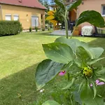 Ket Szobas, Teraszos, Kertes Vendeghaz * Balatonmáriafürdő